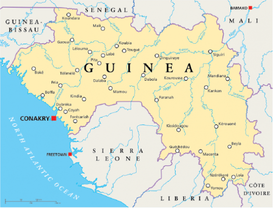Guinee  West African Health Organization