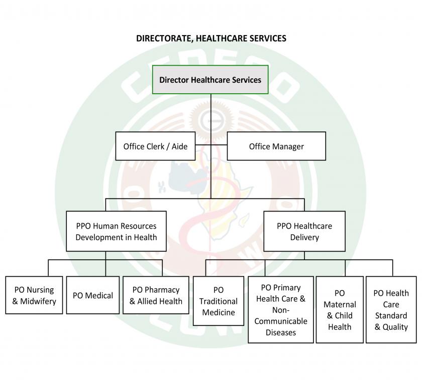 DIRECTORATE, HEALTHCARE SERVICES