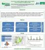 Lassa Fever
