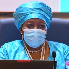 ECOWAS VP Finda Koroma at the 84th Ordinary Session of the Council of Ministers in Niamey Niger